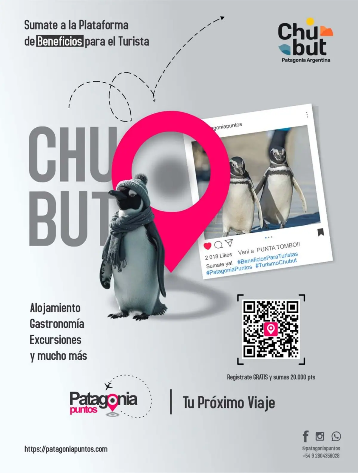 Patagonia Puntos