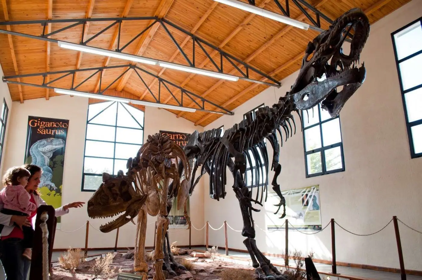 Villa El Chocón: tierra de dinosaurios
