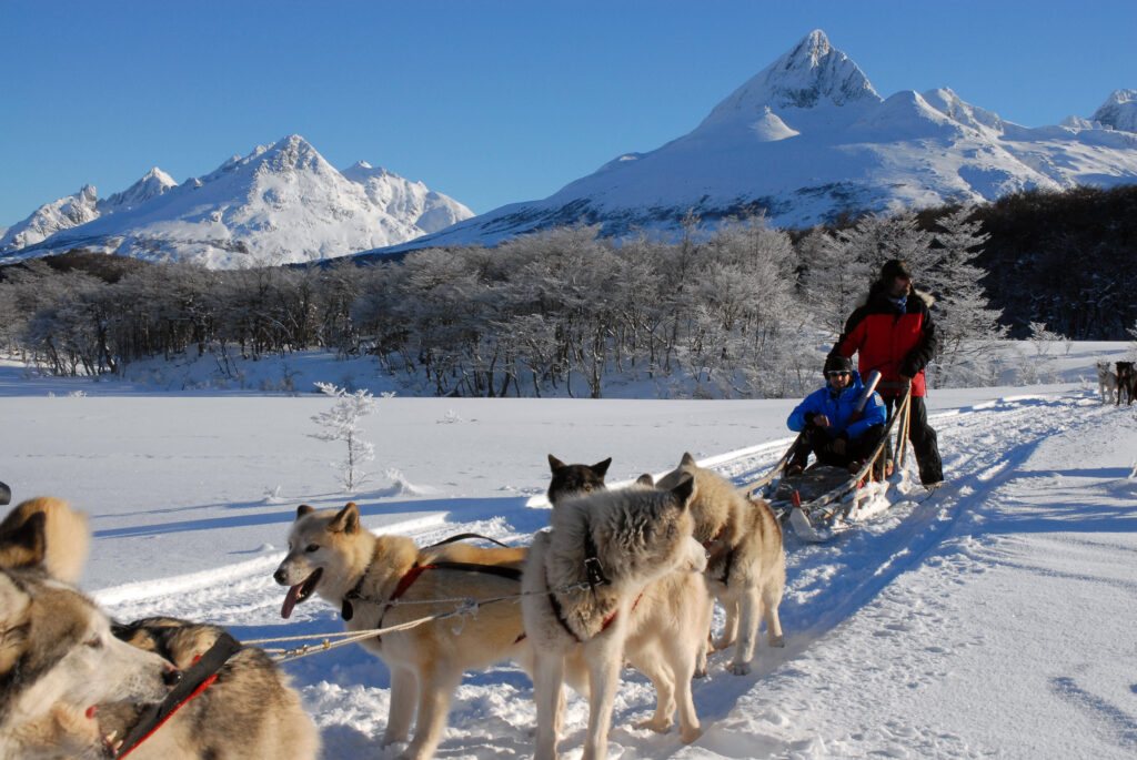 Paseo en Trineo de Perros Husky