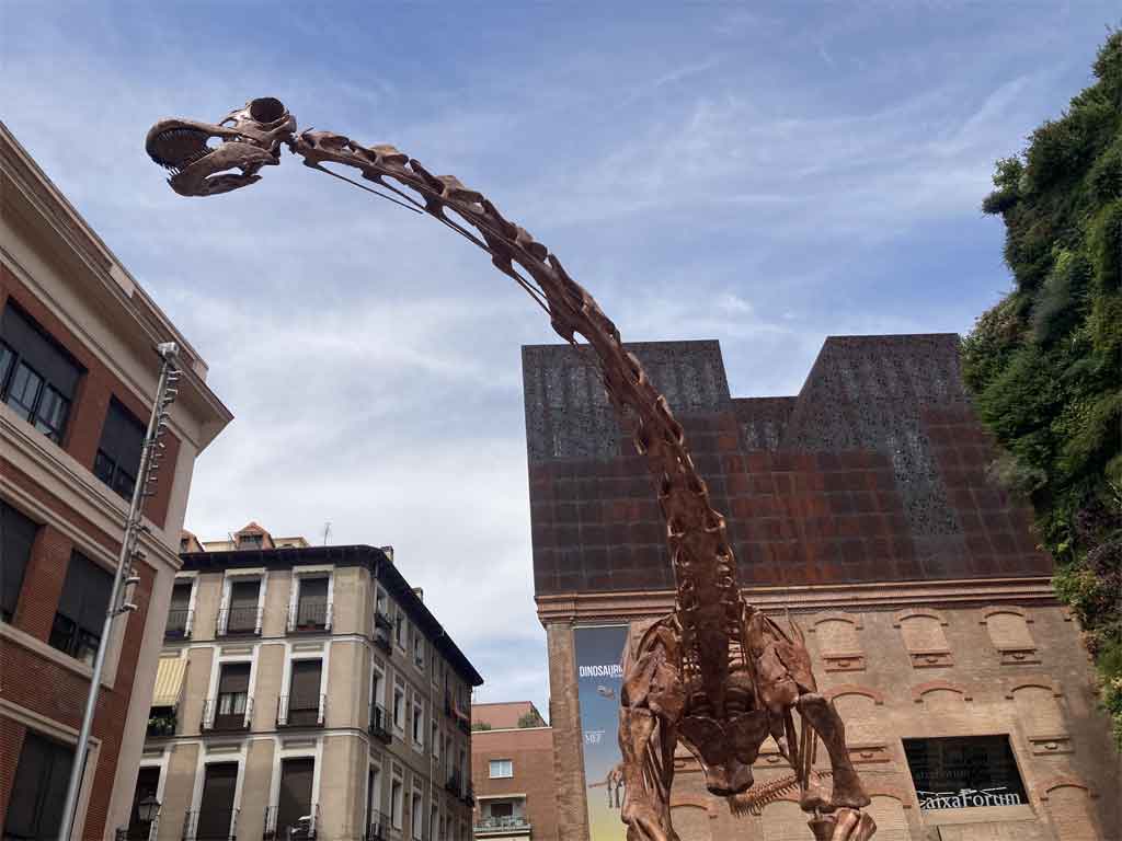 La exhibición itinerante del Museo Feruglio llegó a Madrid