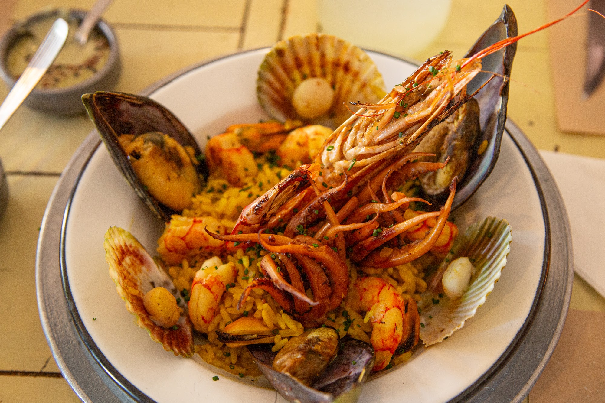 Frutos de mar de Chubut: langostinos, rabas y mariscos del Golfo San Jorge