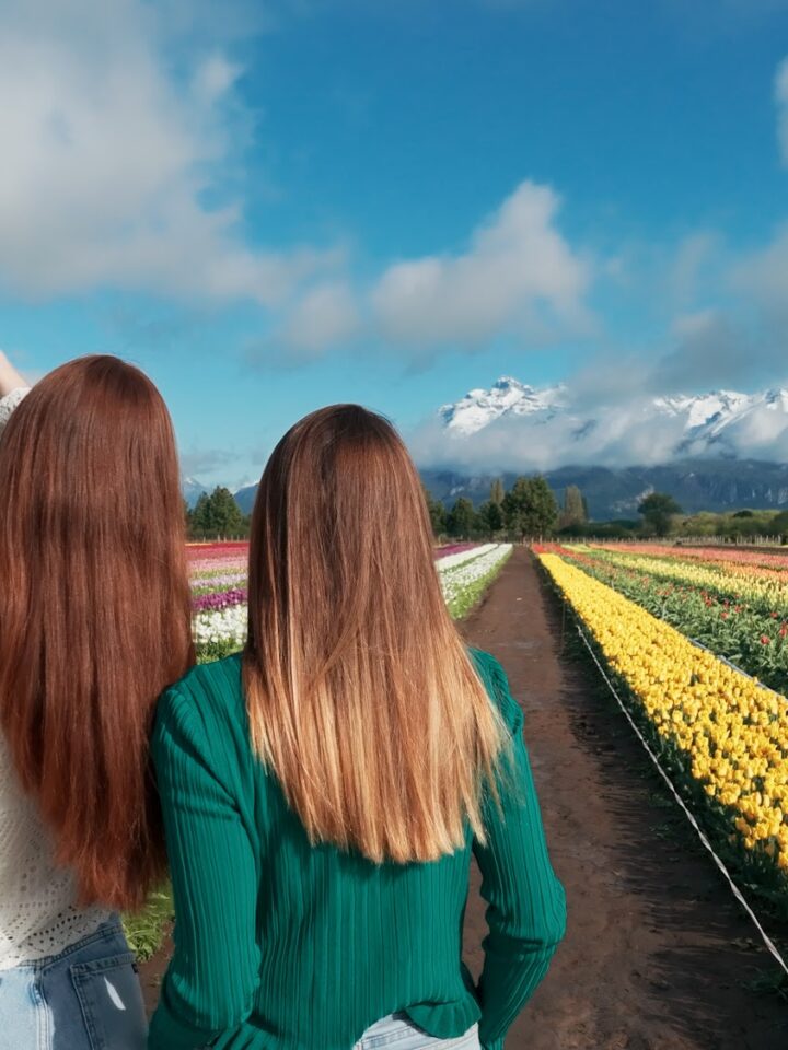 Campo de Tulipanes de Trevelin, Chubut