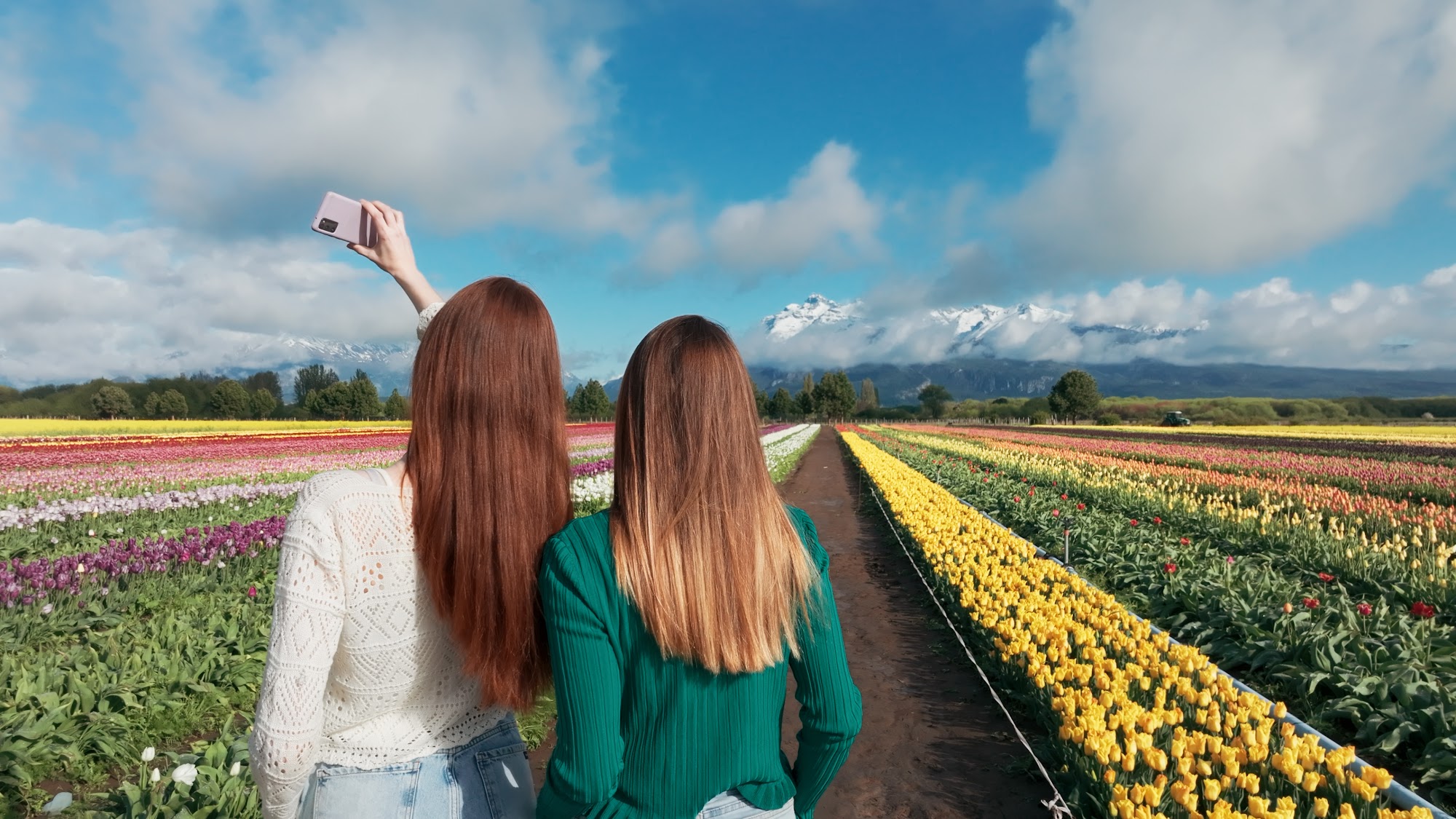 Campo de Tulipanes de Trevelin, Chubut