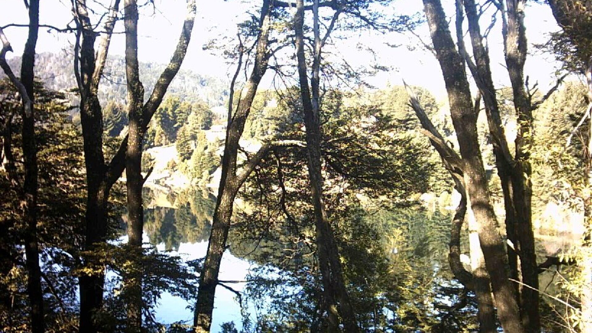 Lago Nahuel Huapi y montañas desde Bariloche, Río Negro