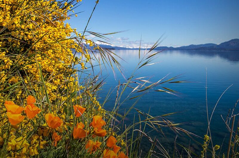 Paisaje de Bariloche en primavera, Río Negro