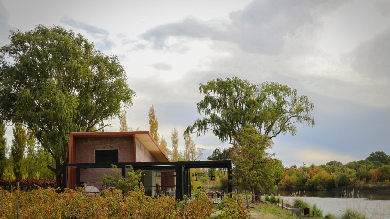 Bodega rionegrina rodeada de viñedos otoñales y arboleda junto a un espejo de agua, en los Caminos del Vino de Río Negro