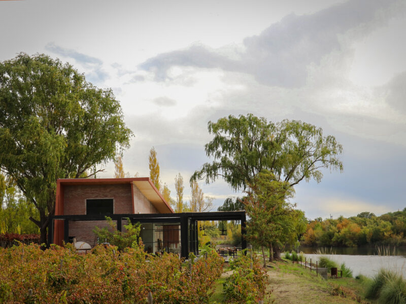 Bodega rionegrina rodeada de viñedos otoñales y arboleda junto a un espejo de agua, en los Caminos del Vino de Río Negro