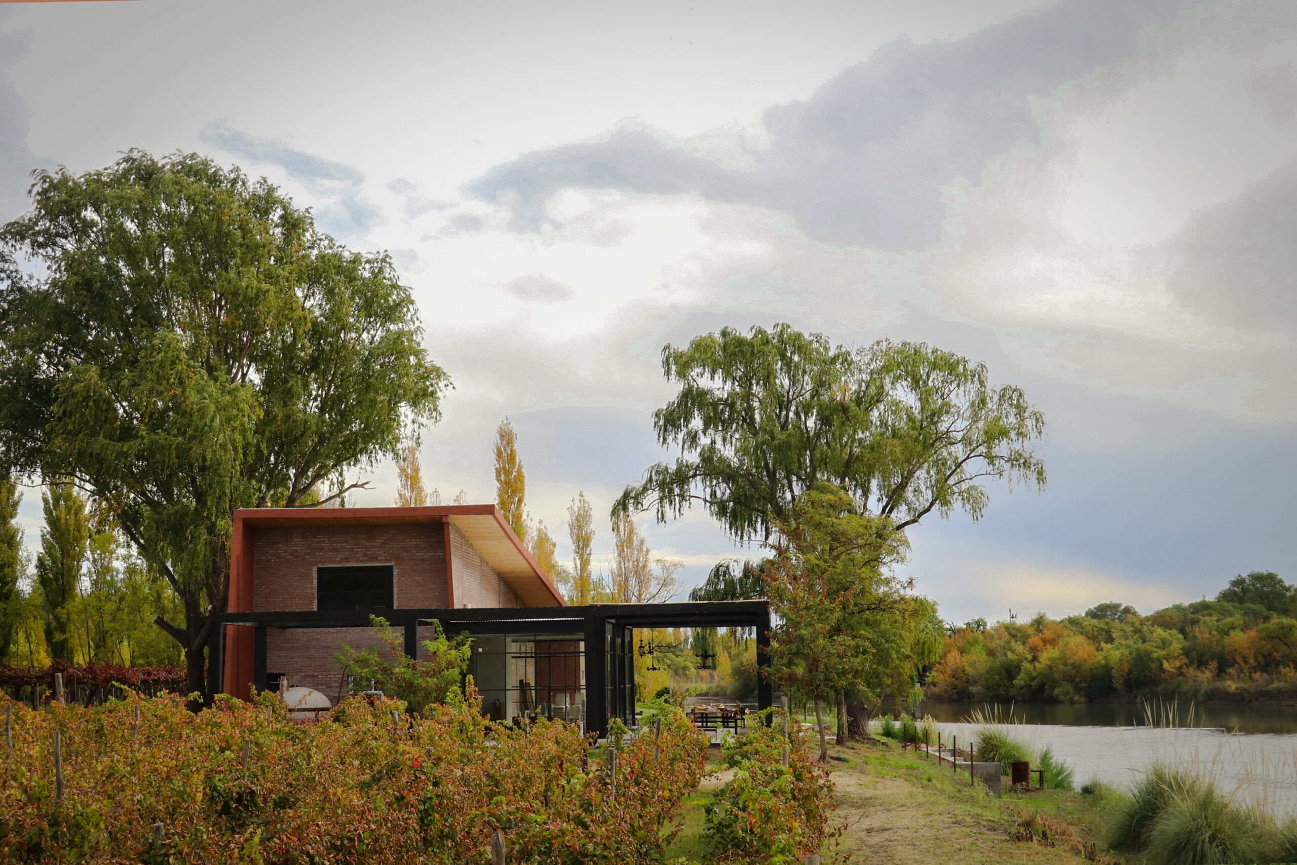 Bodega rionegrina rodeada de viñedos otoñales y arboleda junto a un espejo de agua, en los Caminos del Vino de Río Negro