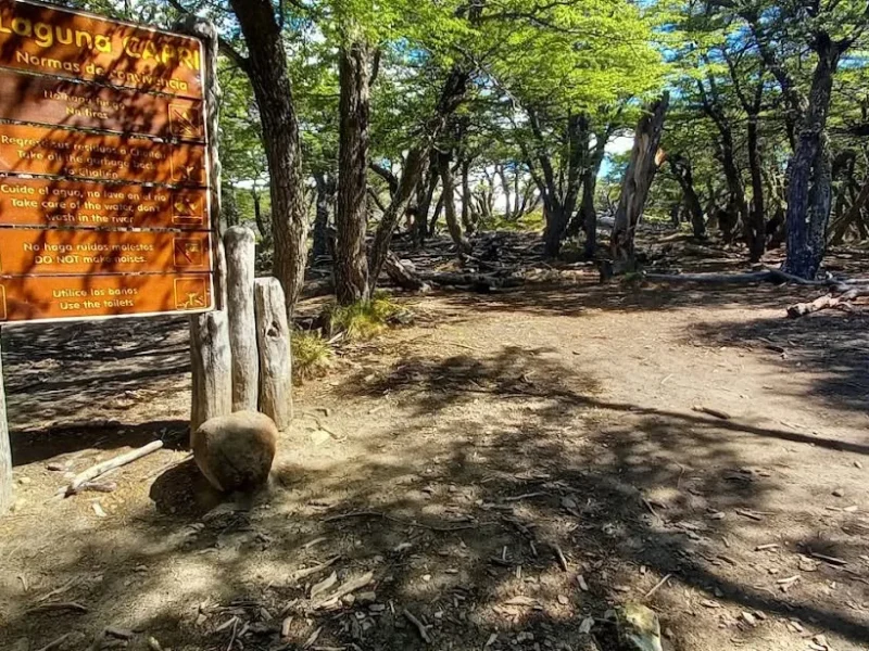 Sendero de trekking en la Zona Norte del Parque Nacional Los Glaciares, El Chaltén