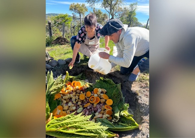 Cocineros preparando un curanto con hojas de nalca en Sierra Colorada, Trevelin