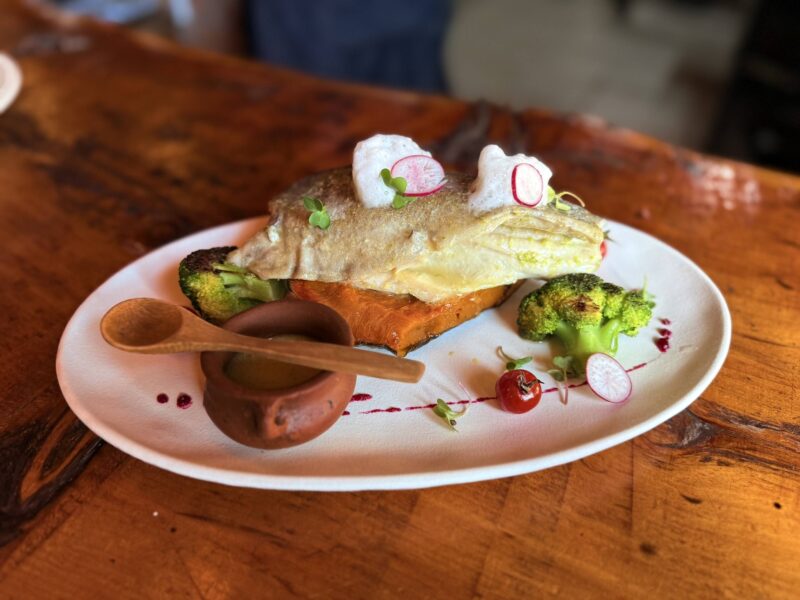 Plato de trucha con calabaza asada y brócoli sobre una mesa de madera en El Viejo Molino de Dolavon, Chubut