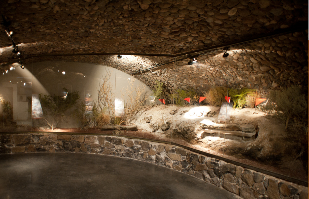 Cava de la bodega con los restos del dinosaurio