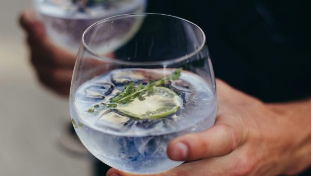 Gin tonic servido en copa en el Festival del Gin de Neuquén