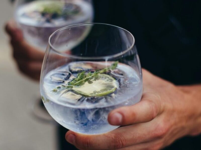 Gin tonic servido en copa en el Festival del Gin de Neuquén