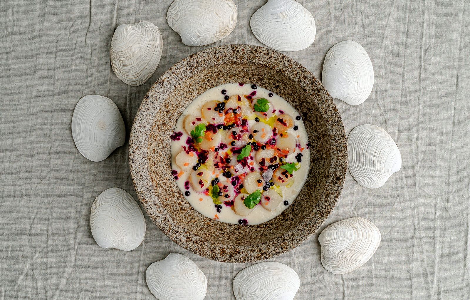 Plato de mar rodeado de conchas en Kalma Restó
