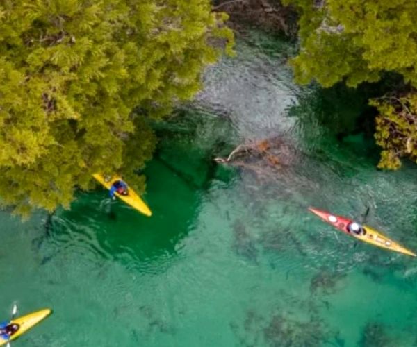 Kayak