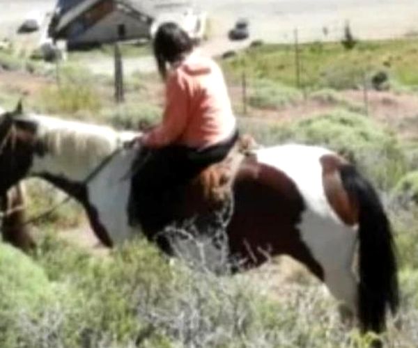Cabalgatas