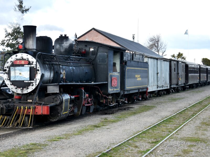 Tren a vapor La Trochita en la estepa cerca de Esquel
