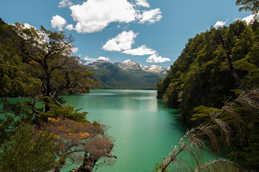 Lago Cisne rodeado de bosque andino en el Parque Nacional Los Alerces, camino al Alerce Milenario