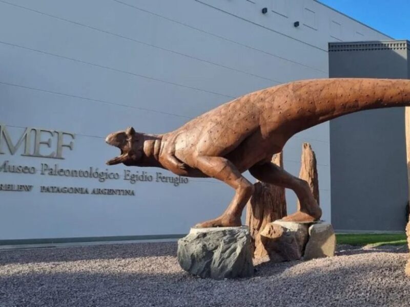 Esqueleto del Patagotitan mayorum en el Museo Paleontológico Egidio Feruglio de Trelew