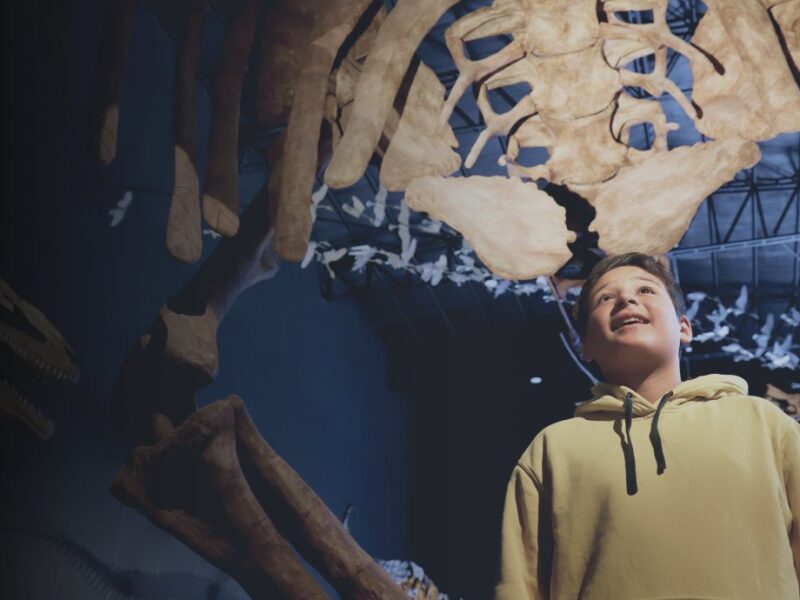 Sala de dinosaurios del Museo Paleontológico Egidio Feruglio en Trelew