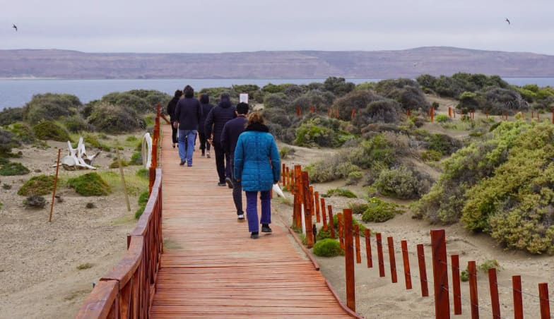 Visitantes caminan por la pasarela de madera de Punta Pirámide, en Península Valdés, con el golfo de fondo