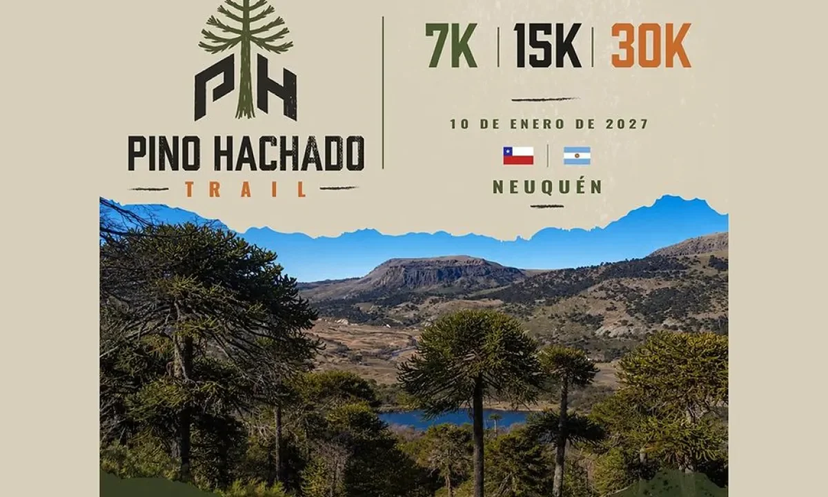 Corredores de trail running entre araucarias en Pino Hachado, Neuquén