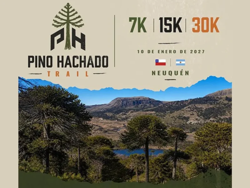 Corredores de trail running entre araucarias en Pino Hachado, Neuquén