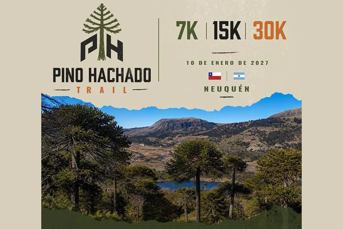 Paisaje de montañas, bosque y laguna en Pino Hachado, Neuquén