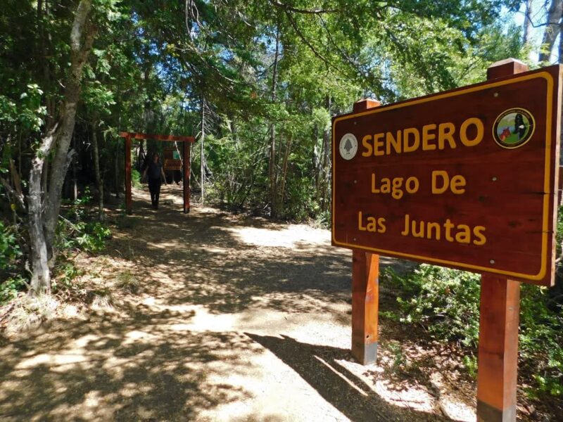Senda costera del Lago Verde en el Parque Nacional Los Alerces, Chubut