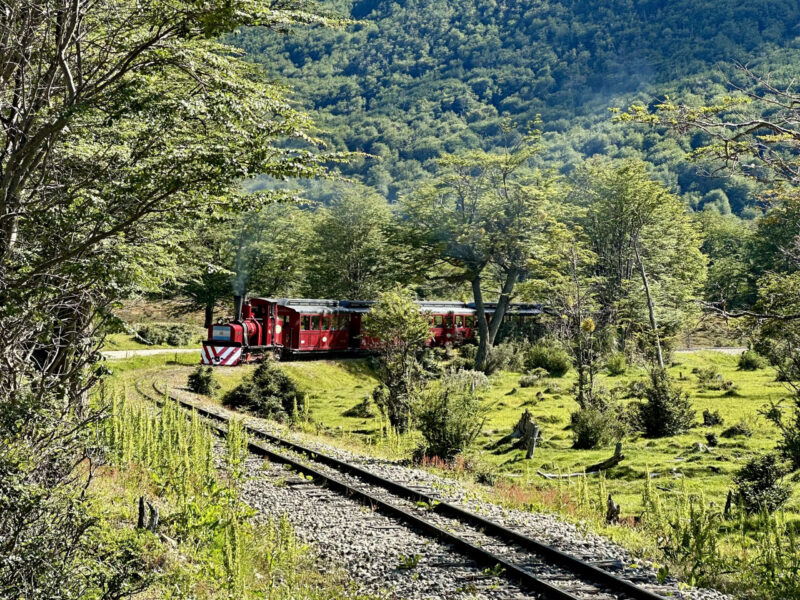 La locomotora a vapor del Tren del Fin del Mundo avanza entre el bosque verde del valle del río Pipo, en Ushuaia