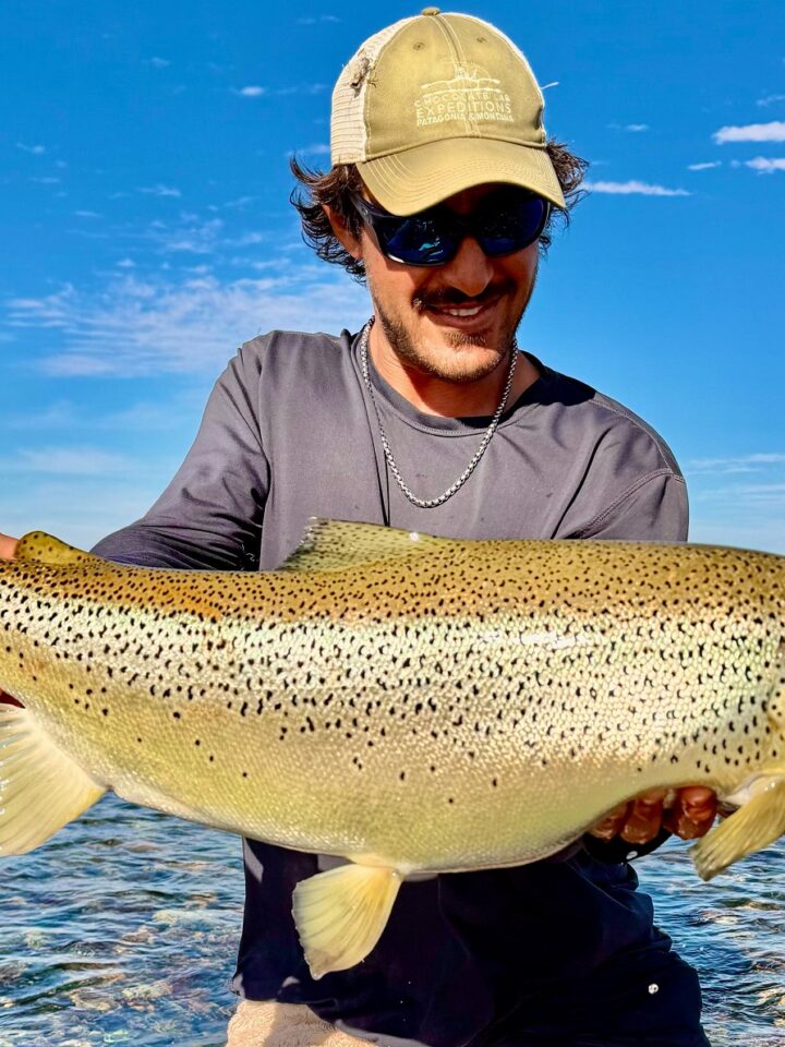 Pescador con una gran trucha marrón migratoria capturada y devuelta en el río Limay Medio