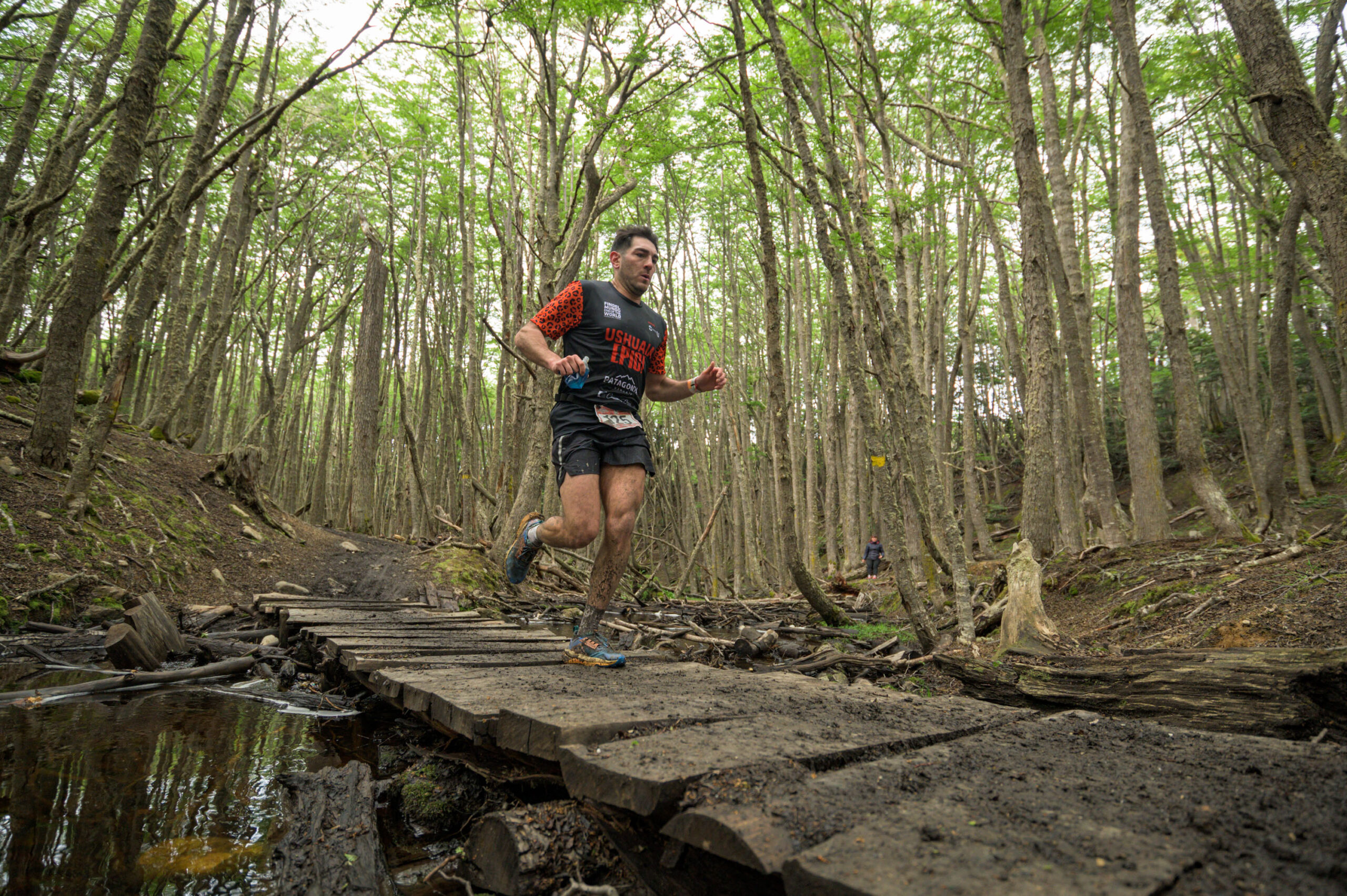Corredor de trail de la Ushuaia Epic sobre una pasarela de madera en el bosque de lengas de Ushuaia