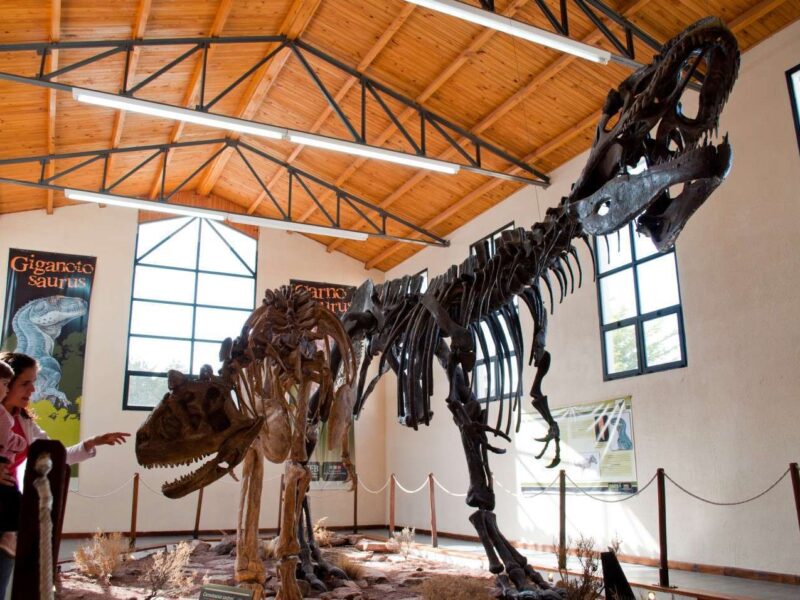 Esqueleto de Giganotosaurus carolinii en el Museo Paleontológico Ernesto Bachmann de Villa El Chocón, Neuquén, con visitantes