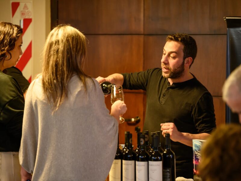 Vino a la Montaña, feria de vinos patagónicos en San Martín de los Andes